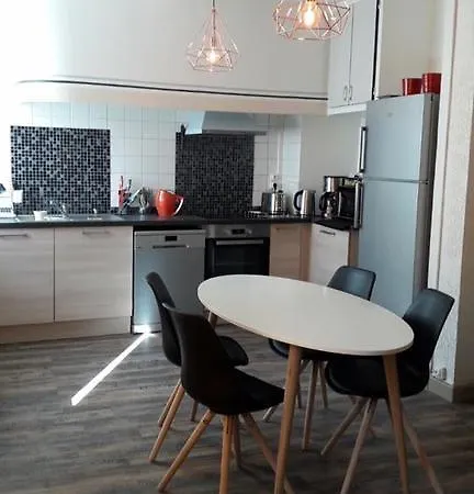Appart Castres Henri 4 Apartament